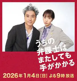 【剧情片】我家的律师又惹麻烦了