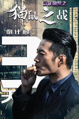 【剧情片】反诈风暴之猫鼠之战